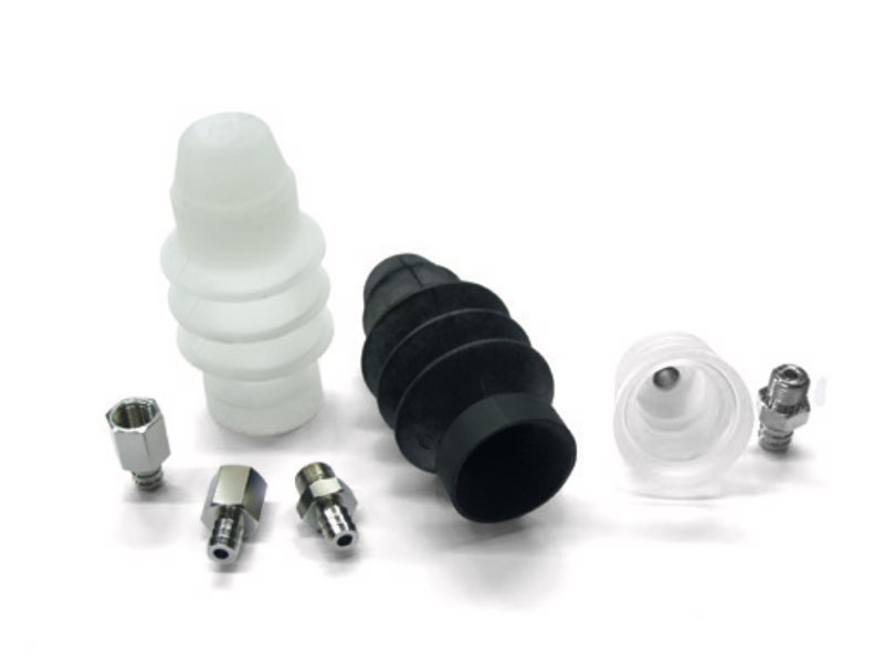 Saugnäpfe zur aufnahme von Eiern 